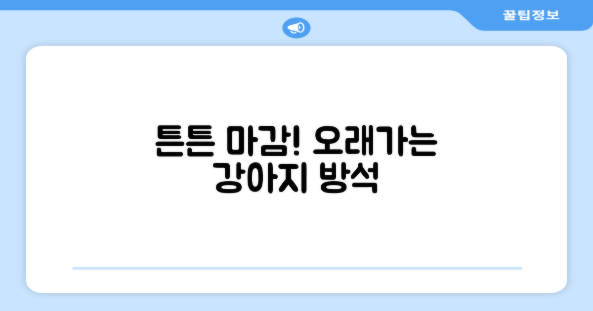 튼튼한 마감, 오래가는 강아지 방석