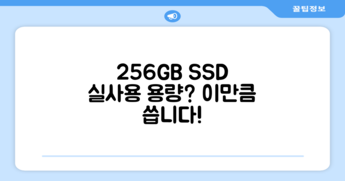 256GB SSD, 실사용 용량