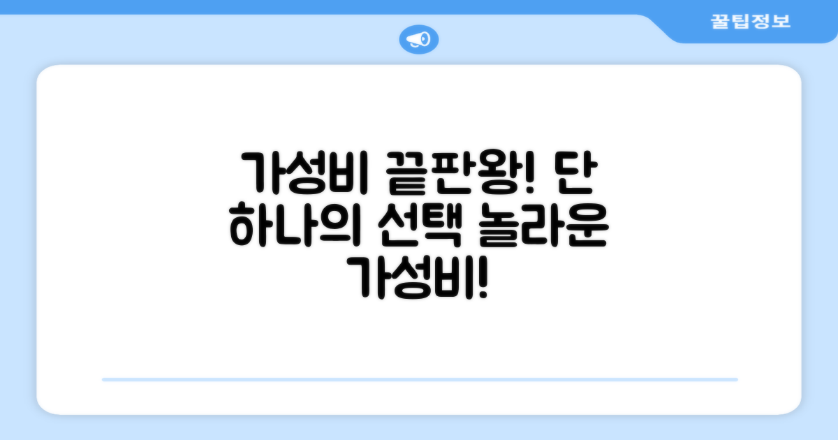 1가지 가성비 좋은 선택