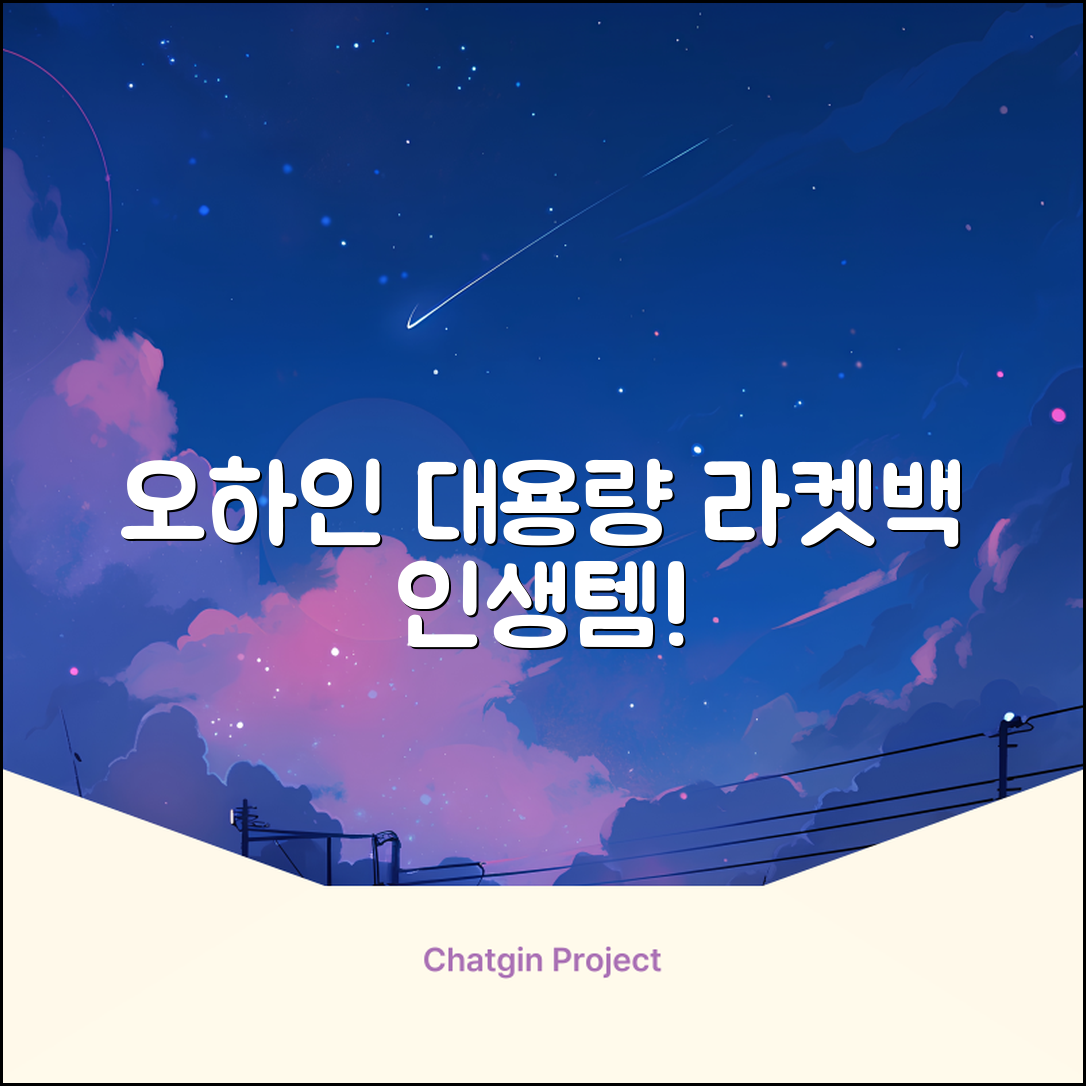 오하인 배드민턴 테니스 스쿼시 2단 대용량 라켓 가방, 블랙, 1개 추천 리뷰