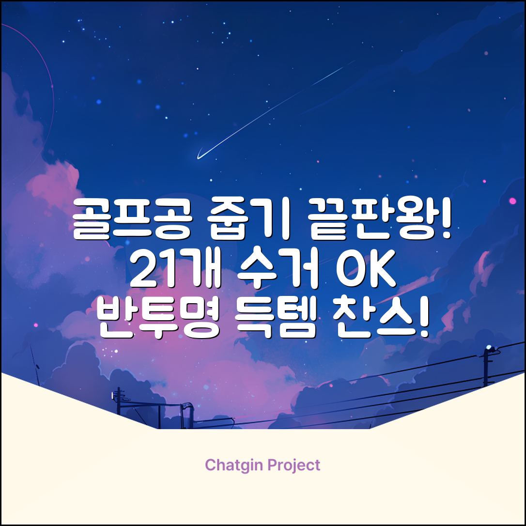 골프공 픽업기 줍기 회수기 수집기 수거기 공21개, 반투명, 1개 추천 리뷰
