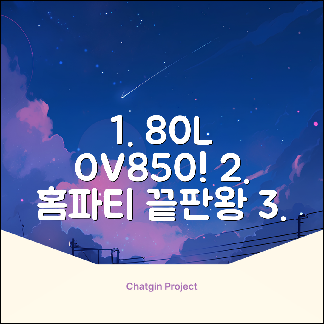 리빙웰 업소용 홈파티용 초대용량 80리터 OV850, 상품명 표기 추천 리뷰