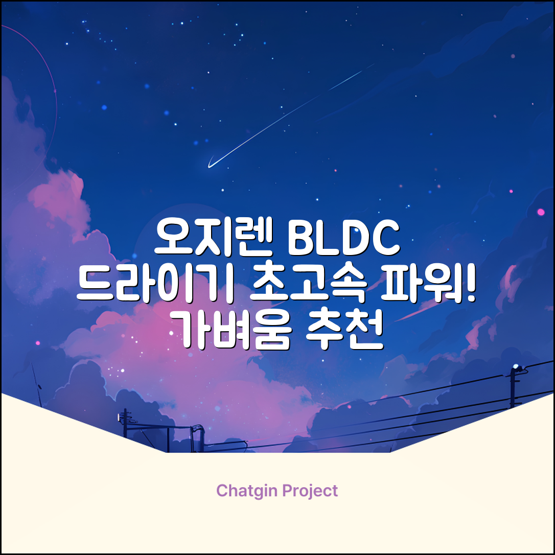 오지렌 초고속 고출력 초경량 음이온 BLDC 모터 헤어 드라이기, 화이트 추천 리뷰