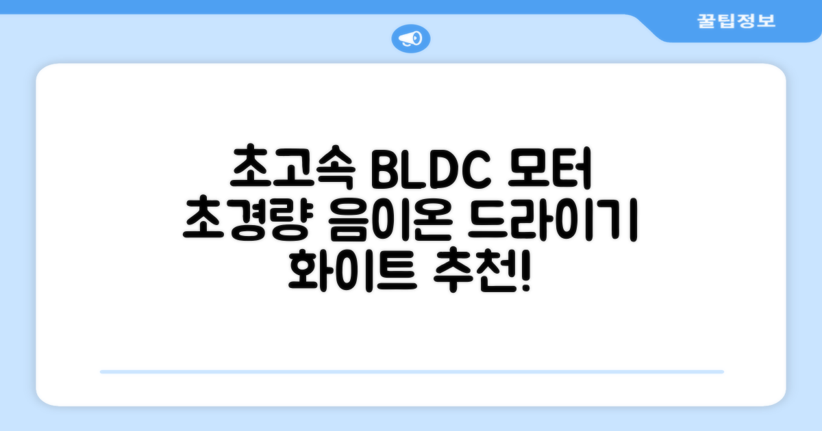 오지렌 초고속 고출력 초경량 음이온 BLDC 모터 헤어 드라이기, 화이트 추천 리뷰