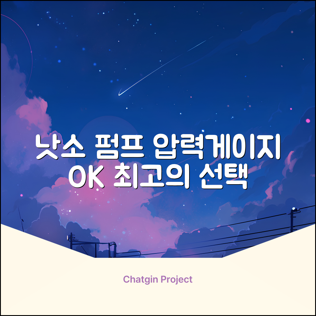 낫소 양방향 압력게이지 펌프, 블랙, 1개 추천 리뷰