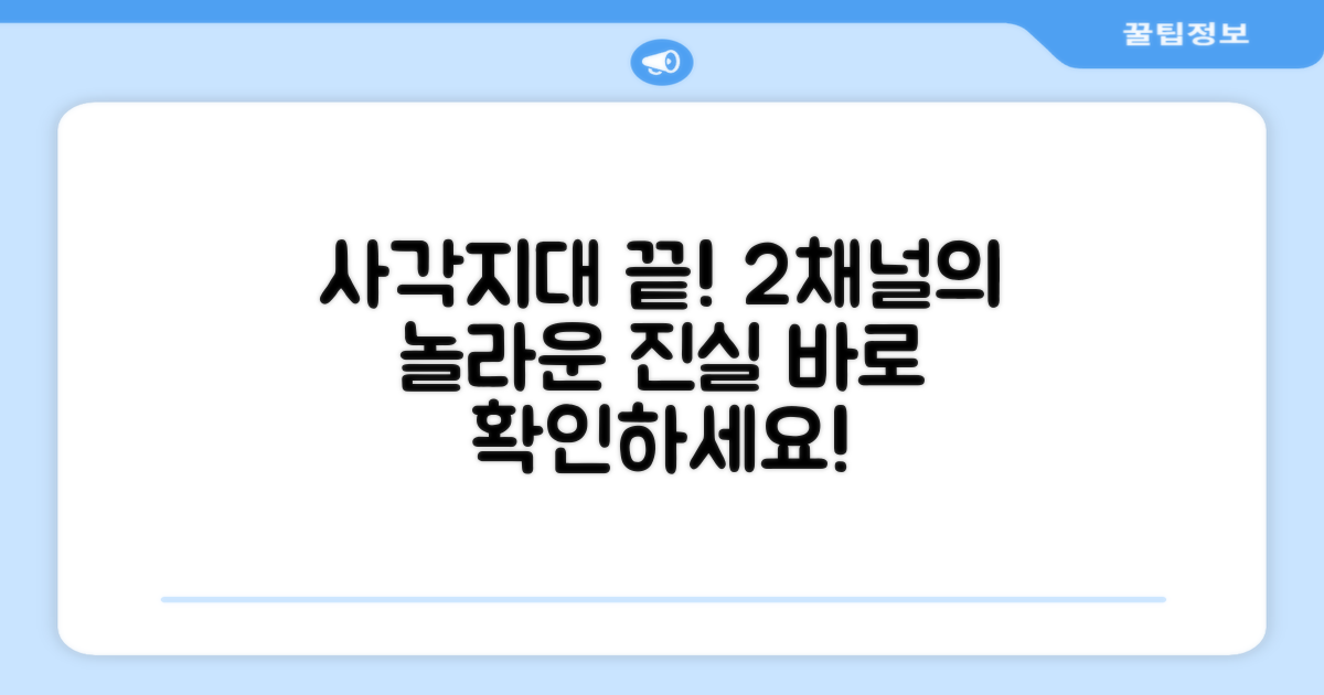 2채널, 사각지대 해소의 진실