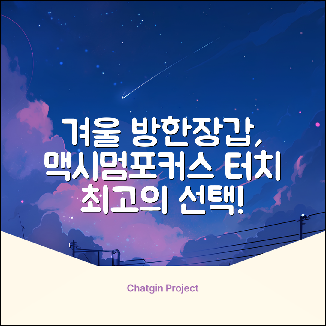 맥시멈포커스 스마트폰 터치 겨울 방한장갑 추천 리뷰