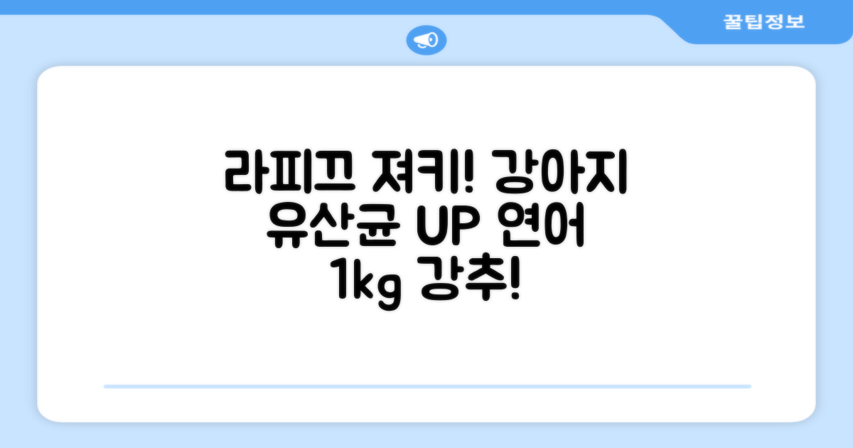 라피끄 강아지 유산균 품은 져키, 연어, 1kg, 1개 추천 리뷰