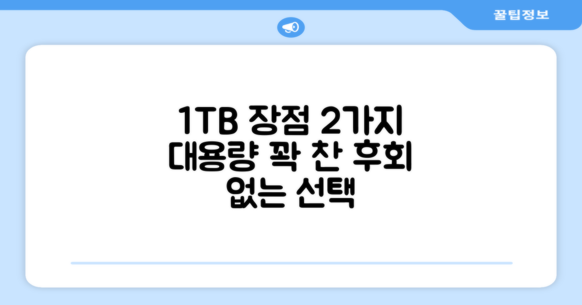 2가지 1TB 저장공간 장점