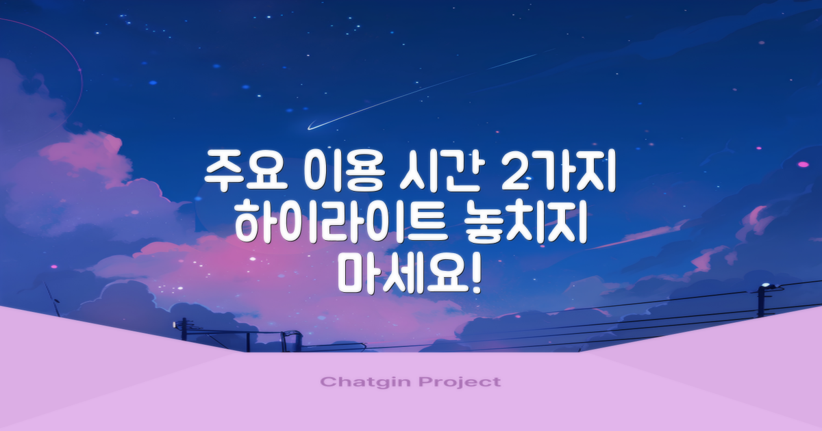 2가지 주요 이용 시간